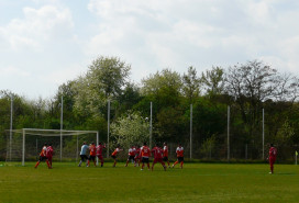 SG Viernheim II vs FC Fatihspor Weinheim 06/04/14